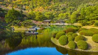Terakhir, ada Taman Ritsurin di prefektur Kagawa. Rimbunnya pepohonan dipadu dengan kolam mmbuatnya terlihat sangat asri.