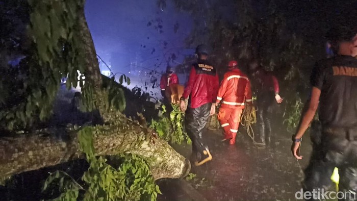 Proses evakuasi pohon tumbang di Jalan Cianjur-Puncak.