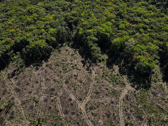 An aerial view shows a deforested plot of the Amazon rainforest in Manaus, Amazonas State, Brazil July 8, 2022. REUTERS/Bruno Kelly
