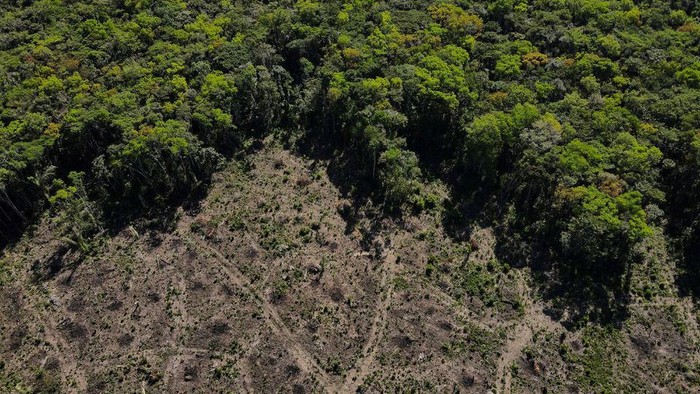 An aerial view shows a deforested plot of the Amazon rainforest in Manaus, Amazonas State, Brazil July 8, 2022. REUTERS/Bruno Kelly