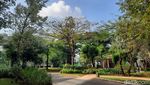Spot Healing Baru Anak Jaksel, Urban Forest Cipete