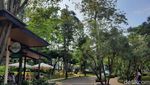 Spot Healing Baru Anak Jaksel, Urban Forest Cipete