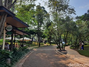 5 Kafe Ini Cocok Dijadikan Tempat Bengong di Akhir Pekan