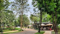 Urban Forest Cipete ini cocok banget buat orang-orang Jakarta yang butuh healing singkat. Pepohonan hijau serta area rerumputan di sana pas untuk duduk-duduk santai. Lalu juga ada jalanan paving yang cocok untuk sekadar jalan-jalan atau bersepeda. Foto: Putu Intan/detikcom
