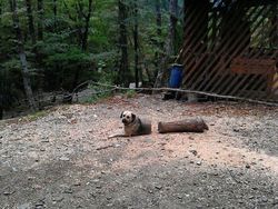 10 Foto Ilusi Optik yang Menipu Mata, Harus Fokus Melihatnya