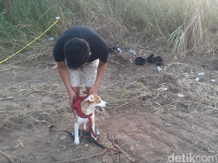 Anjing milik Iwan saat membantu proses pencarian bagian tubuh mayat hangus yang diduga majikannya, di kawasan Marina, Semarang, Rabu (14/9/2022).