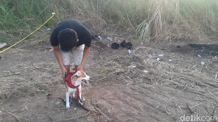 Anjing milik Iwan saat membantu proses pencarian bagian tubuh mayat hangus yang diduga majikannya, di kawasan Marina, Semarang, Rabu (14/9/2022).