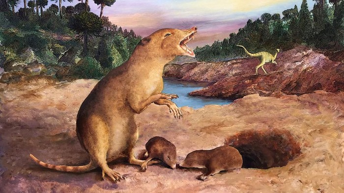 Hewan mamalia tertua yang hidup bersama dengan dinosaurus