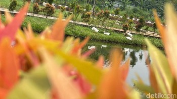 Kantor BSSN ini tampak asri dihiasi tanaman dan hewan-hewan di sekitarnya. Foto: Agus Tri Haryanto/detikINET