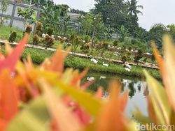 Megahnya Kantor BSSN di Sawangan, Ada Danaunya