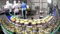 Buah yang sudah ditimbang kemudian dimasukkan ke dalam kaleng yang berjalan di conveyor belt.