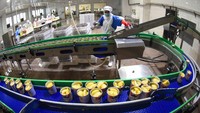 Kaleng yang sudah diisi buah, siap diproses ke tahap selanjutnya. Proses tersebut dibantu dengan mesin pabrik.