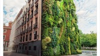 Kalau ini bangunan yang ada di Madrid, Spanyol. Kesannya seperti dua gambar yang ditempel jadi satu ya? Tapi ini memang tumbuhan beneran lho yang ditanam secara vertikal di dinding gedung. Foto: Boredpanda