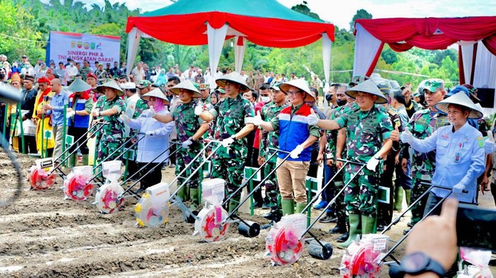 TNI AD dan PHR melakukan penanaman jagung di Desa Kesumbo Ampai, Batin Solapan di Bengkalis. Foto: Raja Adil Siregar/detikSumut