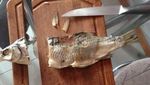 Foto-foto Ini Tunjukkan Kekacauan di Dapur, Bikin Tepok Jidat