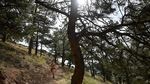 Trail Running Susuri Perbukitan Colorado AS, Cocok untuk Healing