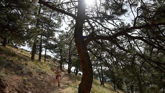 BOULDER, CO - SEPTEMBER 13 : Anemone loop trail head photographed in Boulder, Colorado on Tuesday, September 13, 2022. City of Boulder Open Space and Mountain Parks opened Anemone Loop trail just west of town. It climbs Anemone Hill to what they call the Anemone Loop trail. It's a 3.6-mile hike and climbs 630 feet in elevation. Trail builders flew in tons of rock to build 470 stone steps in some of the steeper sections. (Photo by Hyoung Chang/The Denver Post)