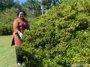 Megawati Ajak Lestarikan Lingkungan: Mencintai Alam Sebuah Keharusan