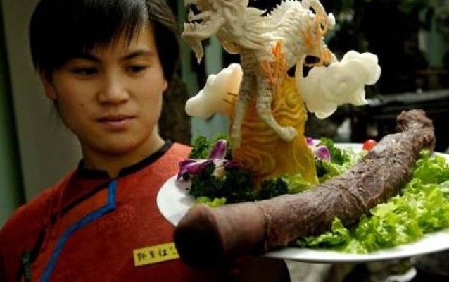 Menjijikkan Tapi 5 Makanan Ini Populer di Berbagai Negara