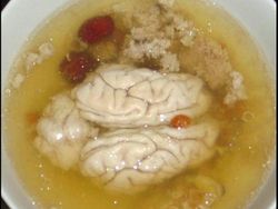 Menjijikkan Tapi 5 Makanan Ini Populer di Berbagai Negara