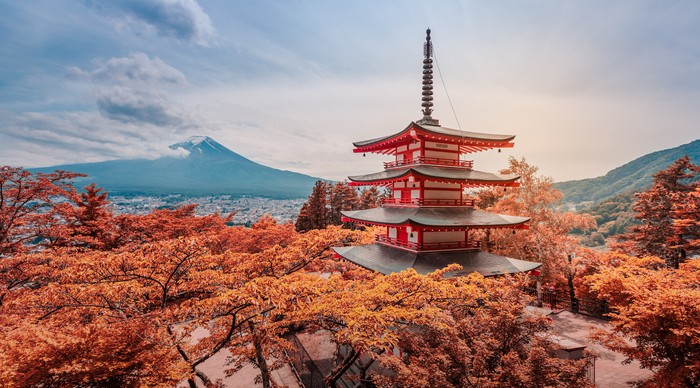 Memasuki bulan September ini, Jepang tengah memasuki musim gugur. Nah, dimomen ini banyak pepohonan menguning dan berguguran, indah banget.