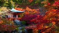 Kuil Daigoji yang juga merupakan Situs Warisan Dunia UNESCO merefleksikan suasana musim gugur yang sempurna. Kawasan ini berada di Kyoto.