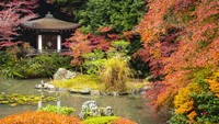 Lanskap warna-warni ini sangat khas dengan warna musim gugur yang khas. Lokasinya berada di Kuil Bishamondo di Kyoto.