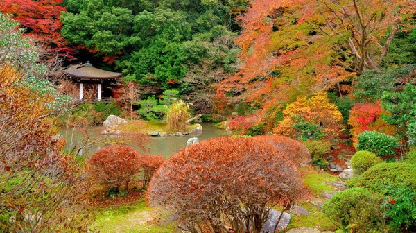 Kuil paling populer untuk menikmati musim gugur terdapat di Kuil Bishamondo, Kyoto. Deretan pepohonan enkianthus dan maple dengan warna merah kekuningan semakin membuat suasana menjadi adem.