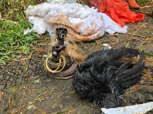 Kehebohan Jenglot Bergelang Emas Tamat di Tangan Ustaz Bogor