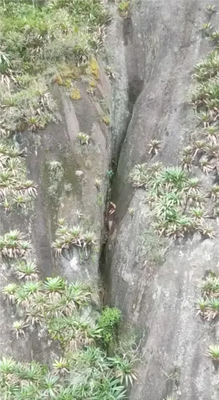 Pendaki Telanjang Terjebak di Tebing