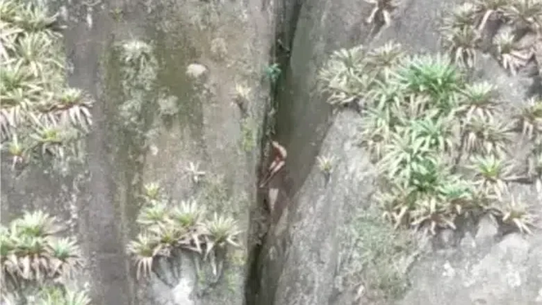 Pendaki Telanjang Terjebak di Tebing