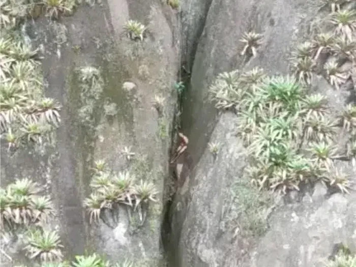 Pendaki Telanjang Terjebak di Tebing