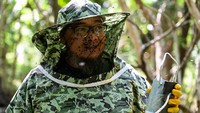 Peternak tersebut menyatakan bahwa peluang bisnis budidaya lebah madu kelulut di Aceh ini terus meningkat. Hal tersebut dikarenakan tingginya permintaan pasar.