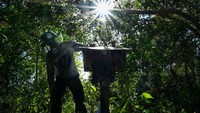 Budi daya madu trigona ini menjadi prospek usaha yang menjanjikan. Selain itu juga dapat manfaat seperti ekologis berupa proses penyerbukan tanaman sekaligus menjadi pakan.