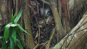 Melahap patung dewa. Foto: Reddit
