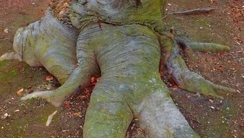 Mungkin dulunya melahap manusia. Foto: Reddit