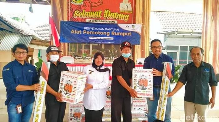 pt bsi