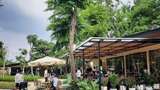 Baru Nih, Sensasi Nongkrong di Kafe Tengah Hutan Jaksel