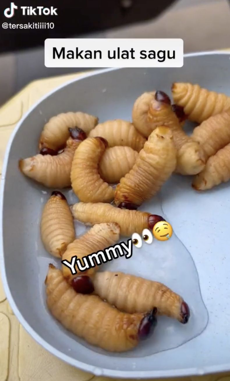 TikToker Hobi Lahap Makanan Ekstrem, Ular Kobra hingga Kalajengking!