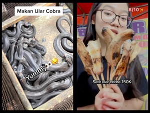TikToker Hobi Lahap Makanan Ekstrem, Ular Kobra hingga Kalajengking!