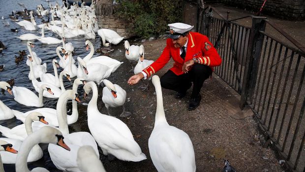 The Royal Swan Marker David Barber feeds swans by the River Thames, following the death of Britain's Queen Elizabeth, in Windsor, Britain, September 12, 2022. REUTERS/Peter Nicholls