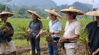 Ketua Pengurus Yayasan Dharma Bhakti Astra (YDBA), Sigit P. Kumala saat menyampaikan mengikuti kegiatan panen jahe merah petani binaan YDBA di Lebak, Banten.