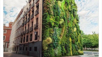 Taman vertikal yang ada di Madrid, Spanyol. Foto: UniqueBuilding5 via Bored Panda