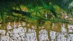 Deretan Danau dan Sungai yang Mengering dari Penjuru Dunia