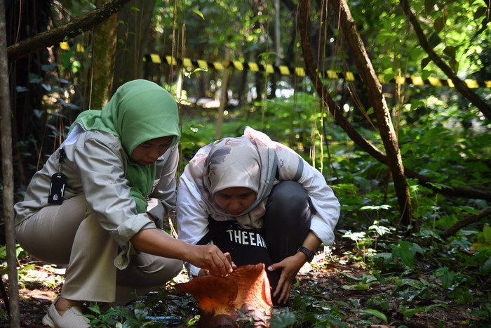 BUNGA RAFFLESIA ARNOLDII MEKAR DI KEBUN RAYA BOGOR Warga memotret bunga Rafflesia Arnoldii yang mekar di kawasan Kebun Raya Bogor, Jawa Barat, Rabu (14/9/2022). Bunga Rafflesia Arnoldii atau dikenal dengan sebutan padma raksasa tersebut memiliki diameter30 cm dan jenis bunga tersebut ditetapkan sebagai Puspa Langka Nasional yang dilindungi dan terancam punah. ANTARA FOTO/Arif Firmansyah/YU