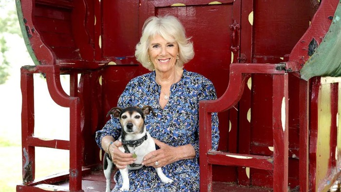 Permaisuri Camilla Alami Patah Jari Kaki, Bagaimana Kondisinya?