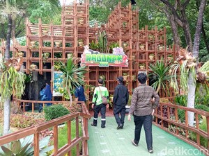 Asyik! Ada Hewan dan Tanaman Hias di Festival Flona 2022