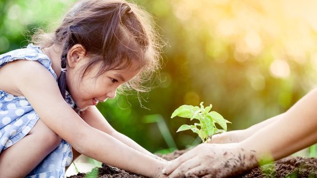 ilustrasi berkebun