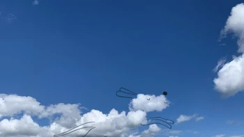 Chris yang berbasis di Irlandia, yang juga seorang penulis buku bergambar anak-anak, .Foto: Instagram/adailycloud by Chris Judge