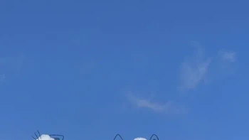 Dia kemudian melihat beberapa awan merah muda yang indah yang tampak seperti monyet dan beruang. Foto: Instagram/adailycloud by Chris Judge